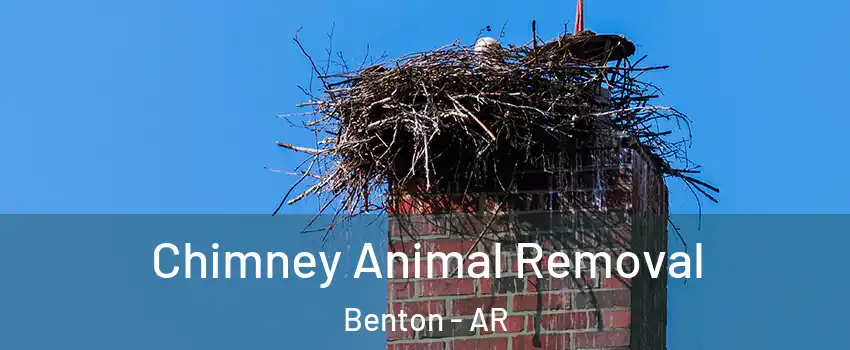  Chimney Animal Removal Benton - AR