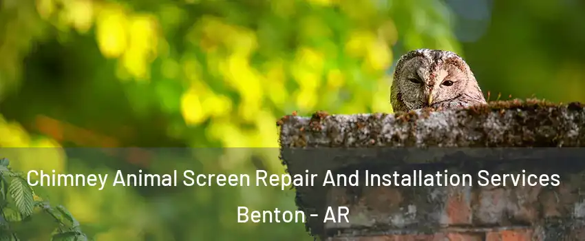  Chimney Animal Screen Repair And Installation Services Benton - AR
