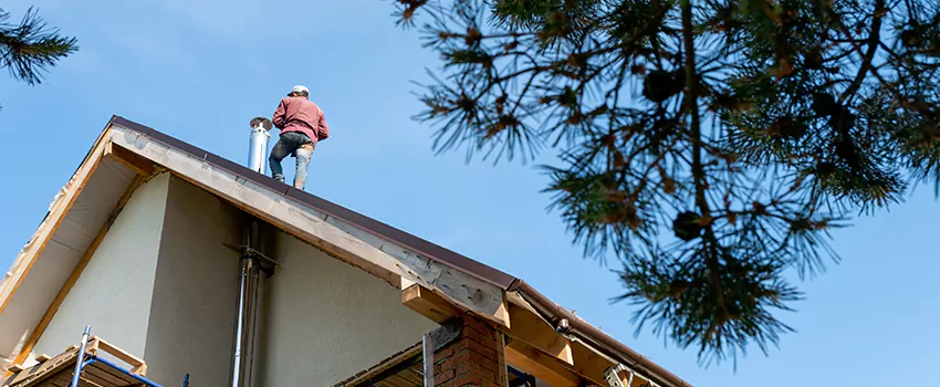 Birds Removal Contractors from Chimney in Benton, AR