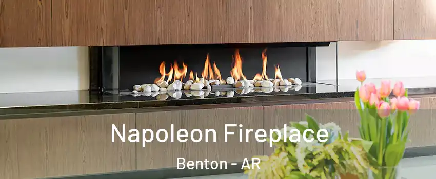  Napoleon Fireplace Benton - AR